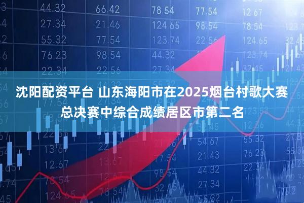 沈阳配资平台 山东海阳市在2025烟台村歌大赛总决赛中综合成绩居区市第二名